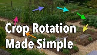 Crop Rotation Made Simple  Rotate Your Vegetable Beds for Healthier Produce [upl. by Raff]