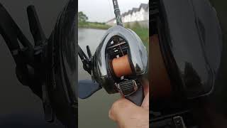 Antares DC MD Monster Drive fishingvideo shimanocuradodc shimanoslxdc shimanoreels shot shots [upl. by Oecam]