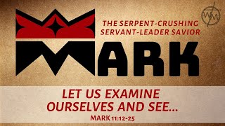 Mark 111225  Let Us Examine Ourselves and See [upl. by Zedecrem]