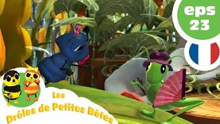 DRÔLES DE PETITES BÊTES  EP23  Linvité surprise [upl. by Kire]