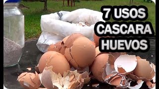 7 Usos De La Cascara De Huevo En El Huerto O Jardin  La Huertina De Toni [upl. by Gould630]