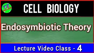 Endosymbiotic Theory  Symbiogenesis  Evolution Of Eukaryotic Cell [upl. by Enovahs676]