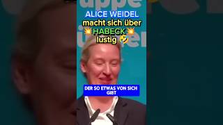 💥DARF man sich über DEN VIZEKANZLER so lustig machen 🤣💥 afd ampel habeck politik weidel bsw [upl. by Schoenberg624]