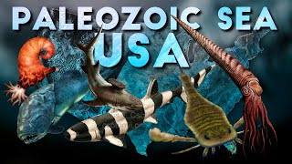 🇺🇲 Paleozoic seas of USA [upl. by Yelsha172]