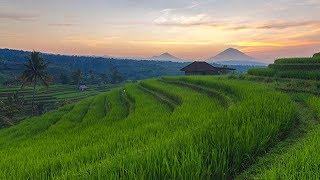 Relaksasi Musik Sunda di Jatiluwih [upl. by Rodrich]