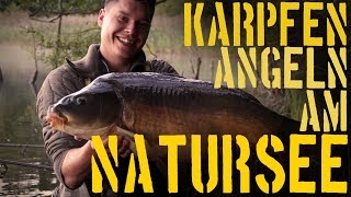 Karpfenangeln am großen Natursee  Taktiken Montagen amp heiße Drills [upl. by Kathlene223]