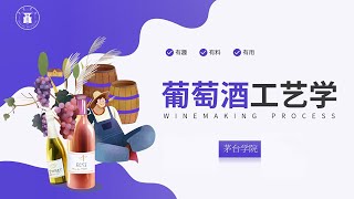 31 白葡萄酒酿造 [upl. by Hennebery]