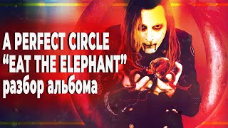 Мировая БОЙНЯ или мировое БРАТСТВО Обзор EAT THE ELEPHANT гр A PERFECT CIRCLE  PMTV Channel [upl. by Nira]