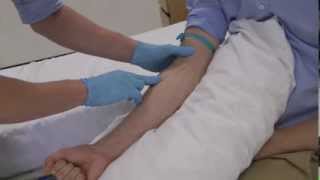 How to select the best vein for clinical skills cannulation and venepuncture [upl. by Long]