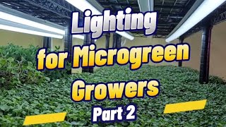 Lighting for Microgreens Growers Part 2 [upl. by Byron238]