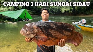 Camping fishing 3 hari hujan deras pertualangan dapat ikan kaloi besar panggang ikan makan di hutan [upl. by Gunning]