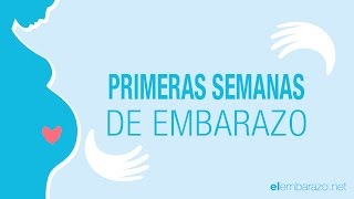 Primeras semanas de embarazo  El embarazo semana a semana [upl. by Idnahc]