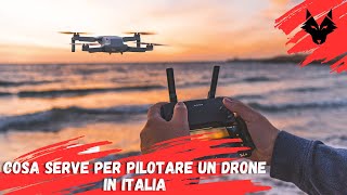 Tutto quello che devi sapere per poter pilotare un drone [upl. by Andrea901]