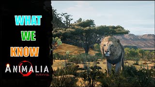 What You Should Know Before Animalia Survival Releases  Massive Multiplayer Survival Game [upl. by Nicola]