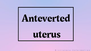 Anteverted Uterus Meaning [upl. by Haisoj328]