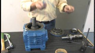 How To Change Bearings on Cone Drive Gearbox [upl. by Edmead]