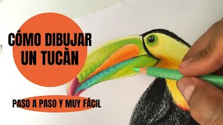 Cómo Dibujar Un Tucán Pico Iris Realista Paso a Paso [upl. by Carmita]