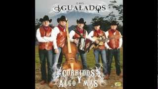 Los Igualados  Corrido del 585 [upl. by Nellad576]