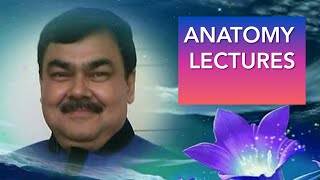 Peritoneal recess peritonium part 1217 by Dr A K Singh [upl. by Stralka204]