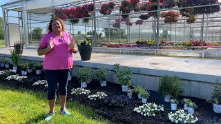 Planting Up a New Trial Garden with 2025 Proven Winner Perennials [upl. by Warner]