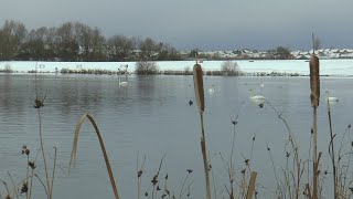 A Hetton Lyons Country Park Walk [upl. by Sadye]