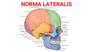 Norma Lateralis [upl. by Inattyrb]