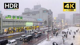 Tokyo Walk  Snowy day in Tokyo Shinjuku Japan  4K HDR [upl. by Deirdra]