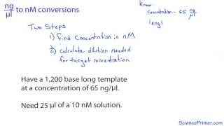 nanogram per microliter to nanomolar conversion [upl. by Copeland]