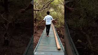 Wood walk 👟 at Coringa wild life sanctuary  Luckys cosmos [upl. by Leaw163]