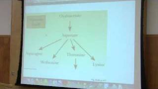 Nitrogen Metabolism by Kevin Ahern Part 1 of 7 [upl. by Latsyrc]