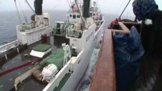 Operation Musashi  Sea Shepherd Confronts the Kaiko Maru  豪州南極海領海 [upl. by Ilka]