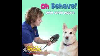 Oh Behave  Episode 408 Tune in as Dr Liz Bales Helps You Think Like Your Cat [upl. by Edahc498]