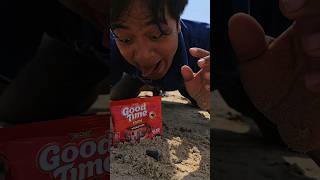 Found chocochip biscuit snacks but ran away shorts shortvideo viralvideo [upl. by Bowie585]