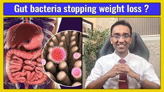 GUT BACTERIA  How to USE this to lose weight  Dr Pal [upl. by Blain]