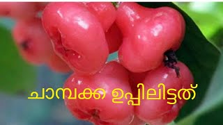 ചാമ്പക്ക ഉപ്പിലിട്ടത്Chambakka RecipesPickled Rose ApplesNostalgiaChambakka Uppilittathu [upl. by Aronoel]