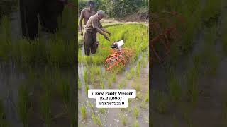 paddy Weeder rs 13000 9787672239 Melur Madurai TN India 3 [upl. by Nnaylrebmik]