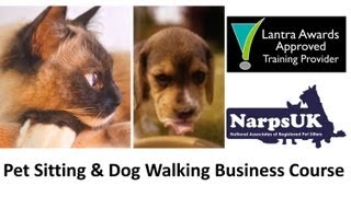 wwwnarpsukcouk Pet Sitting and Dog Walking Business Course [upl. by Rodoeht]