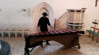 Ernesto Lecuona La Malagueña for solo marimba by Holger Schreiber [upl. by Kelda]