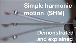 Simple harmonic motion SHM for beginners from fizzicsorg [upl. by Joby286]