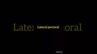 Branches of Lateral cord of brachial plexus 1styearmbbslectures mbbsanatomy mbbs usmle [upl. by Derayne]