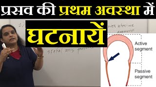 Events in the First stage of Labour in Hindi हिंदी  Physiology in 1st stage of Normal Labour [upl. by Adiam]