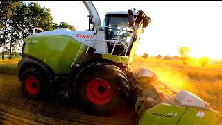 Chopping our Barley for Forage [upl. by Tenenbaum232]