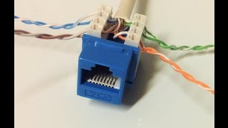 Connect Cat6 cable to Jack [upl. by Jaban]