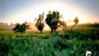 Dorothy Ashby  For Some We Loved [upl. by Cyprus]