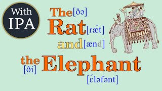 The Rat and the Elephant with IPA International Phonetic Alphabet；ネズミとゾウ；쥐와 코끼리 [upl. by Rifkin]