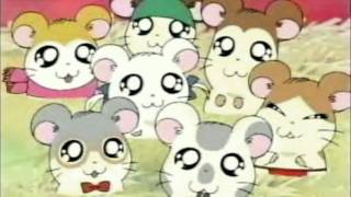 Hamtaro Japanese OP [upl. by Correna]