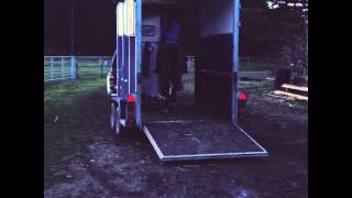 Pony Trailer loading  Priestwood Sybilla [upl. by Alexis]