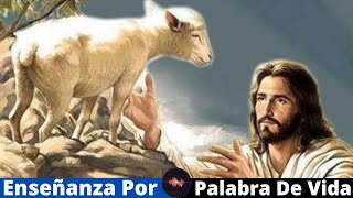 🐑👉 ¡JESÚS EL BUEN PASTOR Juan 10  Palabra De Vida [upl. by Awe680]