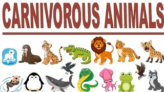 CARNIVOROUS ANIMALSLearn CARNIVORE ANIMLAS for kidsAnimals Learning video for toodlersAnimal food [upl. by Rammaj]