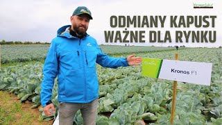 Odmiany kapust ważne dla rynku  standardy i nowości od Seminis [upl. by Niven]